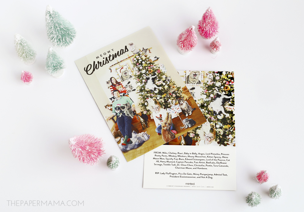 Our Silly Christmas Photo + a $150 Minted Giveaway!