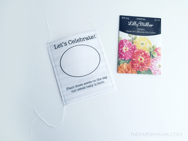 Seed Packet Party Favor DIY
