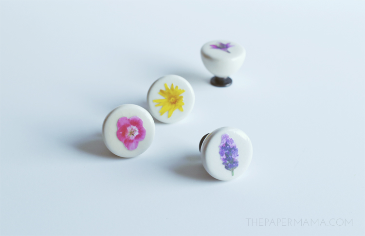 Floral Drawer Pull DIY's (with free printable)