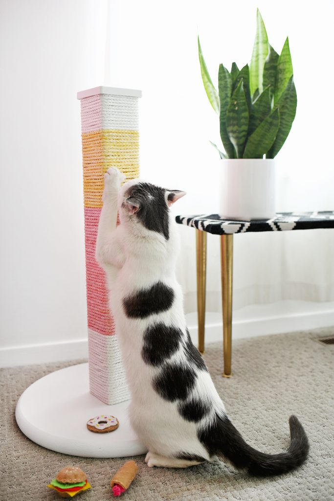 Let's be honest, a lot of cats craters are pretty ugly. This pretty color blocked cat scratching post will fit right in most homes and your kitty will love it. Found on A Beautiful Mess.