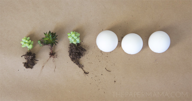 Little Easter Egg Planter DIY // thepapermama.com