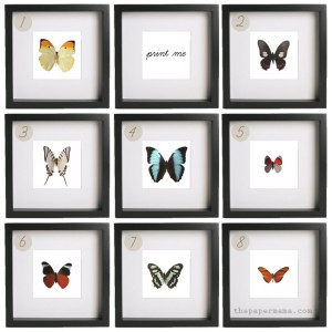 butterfly print, free, freebie