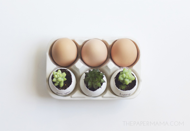 These succulent egg planters would make perfect (and inexpensive) place markers for your Easter dinner, on The Paper Mama.