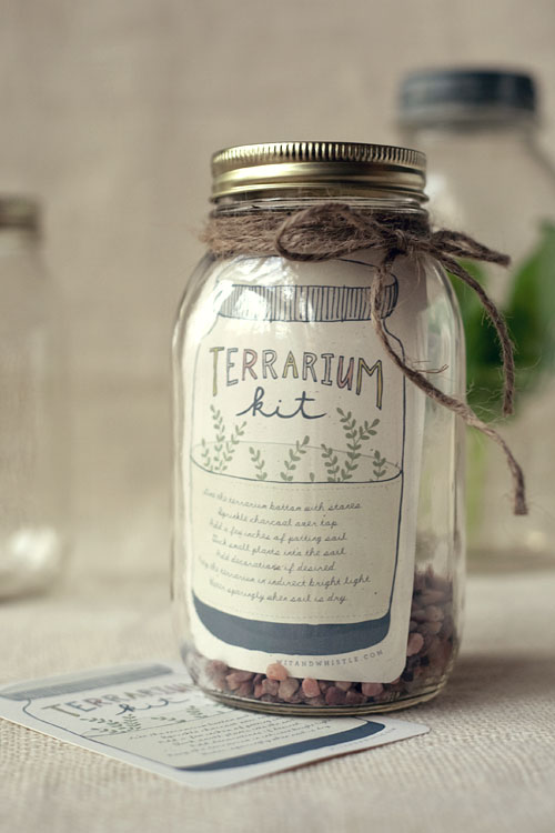 Terrarium Kit from Wit and Whistle